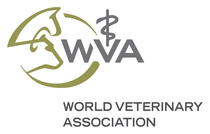 Study in Belgium: 2018 World Veterinary Association (WVA) Veterinary Student Scholarship Program