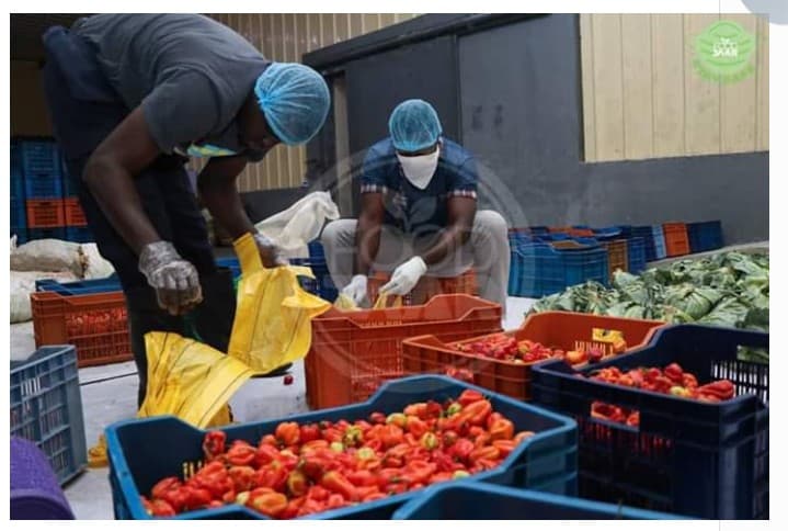 COVID-19: Covenant University Alumni Provides Food For Students in Need