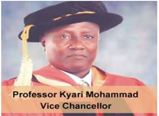 Nigerian Army University, Biu (NAUB) Gets New Vice-Chancellor
