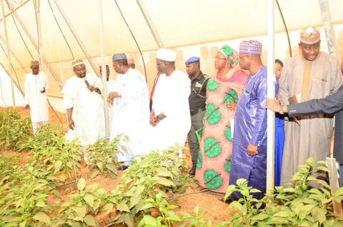 BUK’s Multi-Million Naira 22 Hectare Research Farm Commissioned