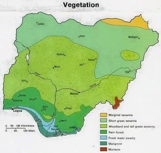 Nigerian Students and Youths Association: The Nigerian Revolution
