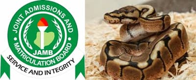 EFCC Prosecutes Woman Who Claimed Snake Swallowed JAMB’s N35m