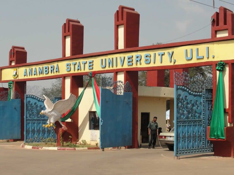 SEE The Top 21 Cheapest State Universities In Nigeria and Their School Fees