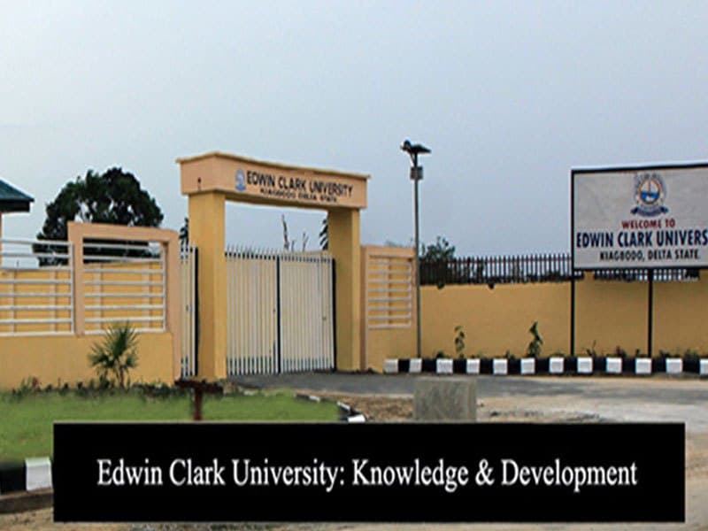 List of Courses Offered at Edwin Clark University (ECU)