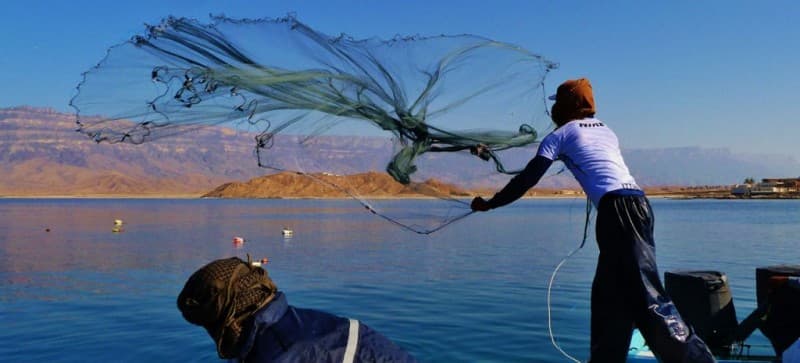 List of Courses Offered at Federal College Of Freshwater Fisheries Tech, Baga