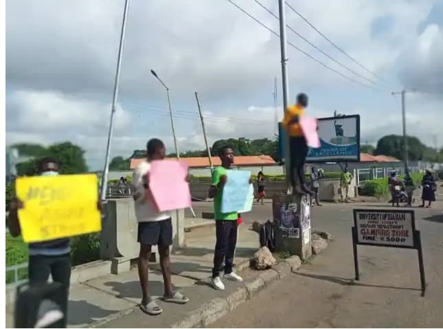 ASUU Strike: Nigerian University Students Protest Over Ongoing Strike at UI Gate