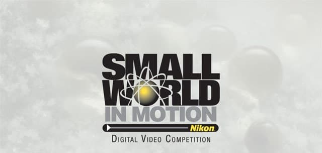 2017 Nikon Small World in Motion Digital Video Competition