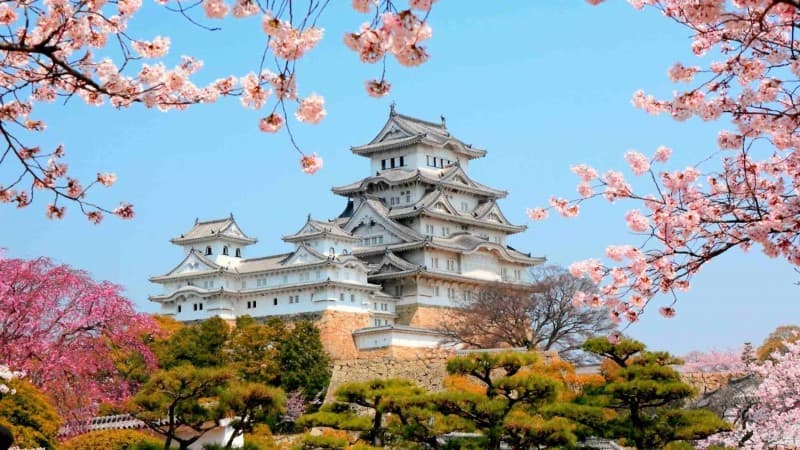 Matsumae International Foundation (MIF) Research Fellowship, 2020