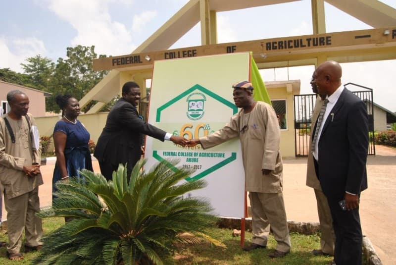 FECA Post-UTME Screening Form and Registration Details, 2022/2023