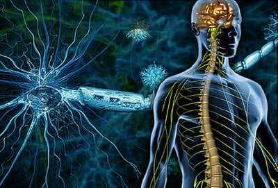 2017 MISF Du Pré Grants Available for Multiple Sclerosis Researchers