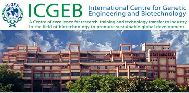 ICGEB Arturo Falaschi Fellowship for Scientists in Developing Countries