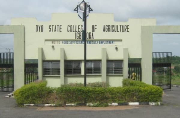 List of Courses Offered at Oyo State College Of Agriculture (OYSCATECH)