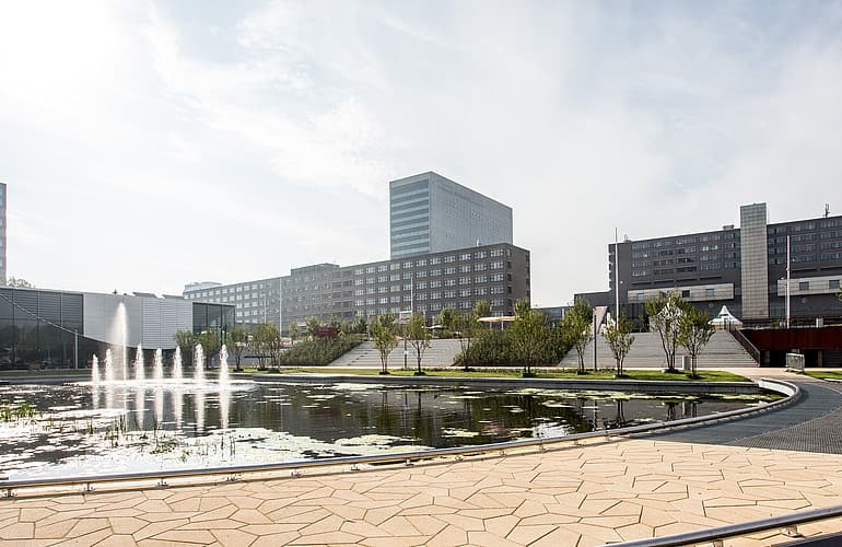 Rotterdam School of Management Scholarships for International Students