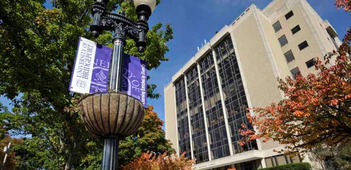 Study in USA: University of Bridgeport Global Leader of Tomorrow (Fully-funded) Scholarships