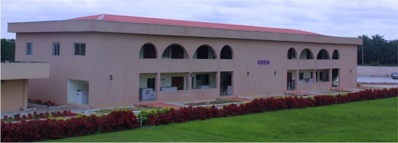 List of Courses Offered at Michael and Cecilia Ibru University (MCIU)