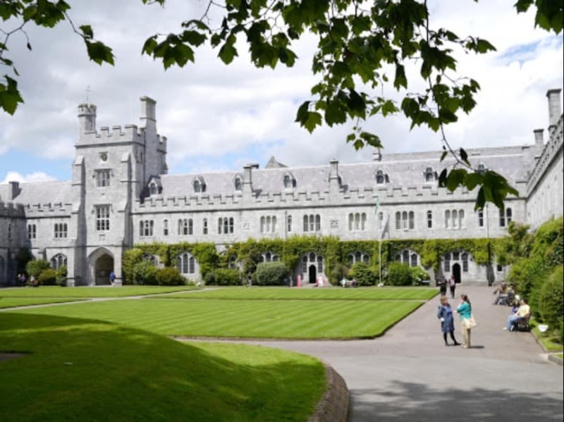 Study in Ireland: Food Security Scholarships at Cork University Business School