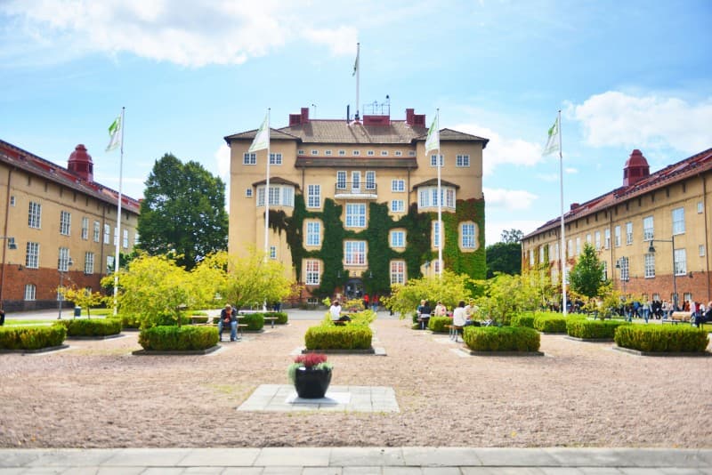 Kristianstad University Scholarship for International Students, 2019/2020