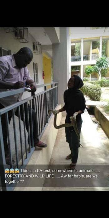 UNIMAID Student Holds a Python for Assessment of Her CA