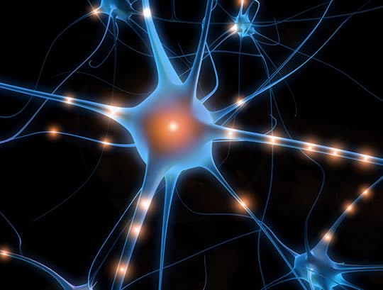 Brain Plasticity: How Your Brain Changes With Learning and Experience