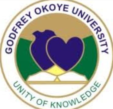 Godfrey Okoye University Adopts Virtual Learning for Continuation of 2nd Semester, 2019/2020