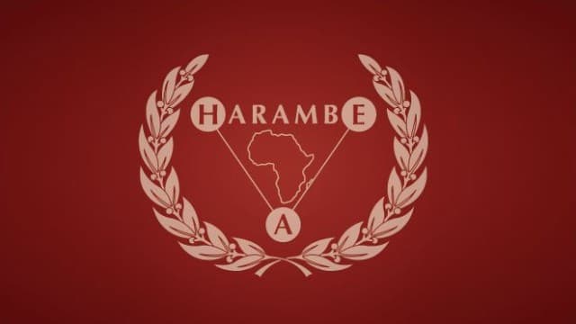 Harambe Entrepreneur Alliance Scholarships for African Students, 2019/2020