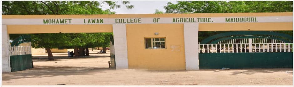 List of Courses Offered at Mohamet Lawan College of Agriculture, Maiduguri